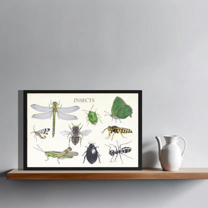 Ingelijst "Insects 2"