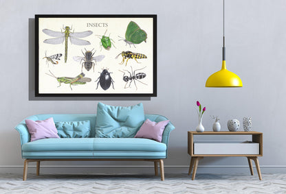 Ingelijst "Insects 2"