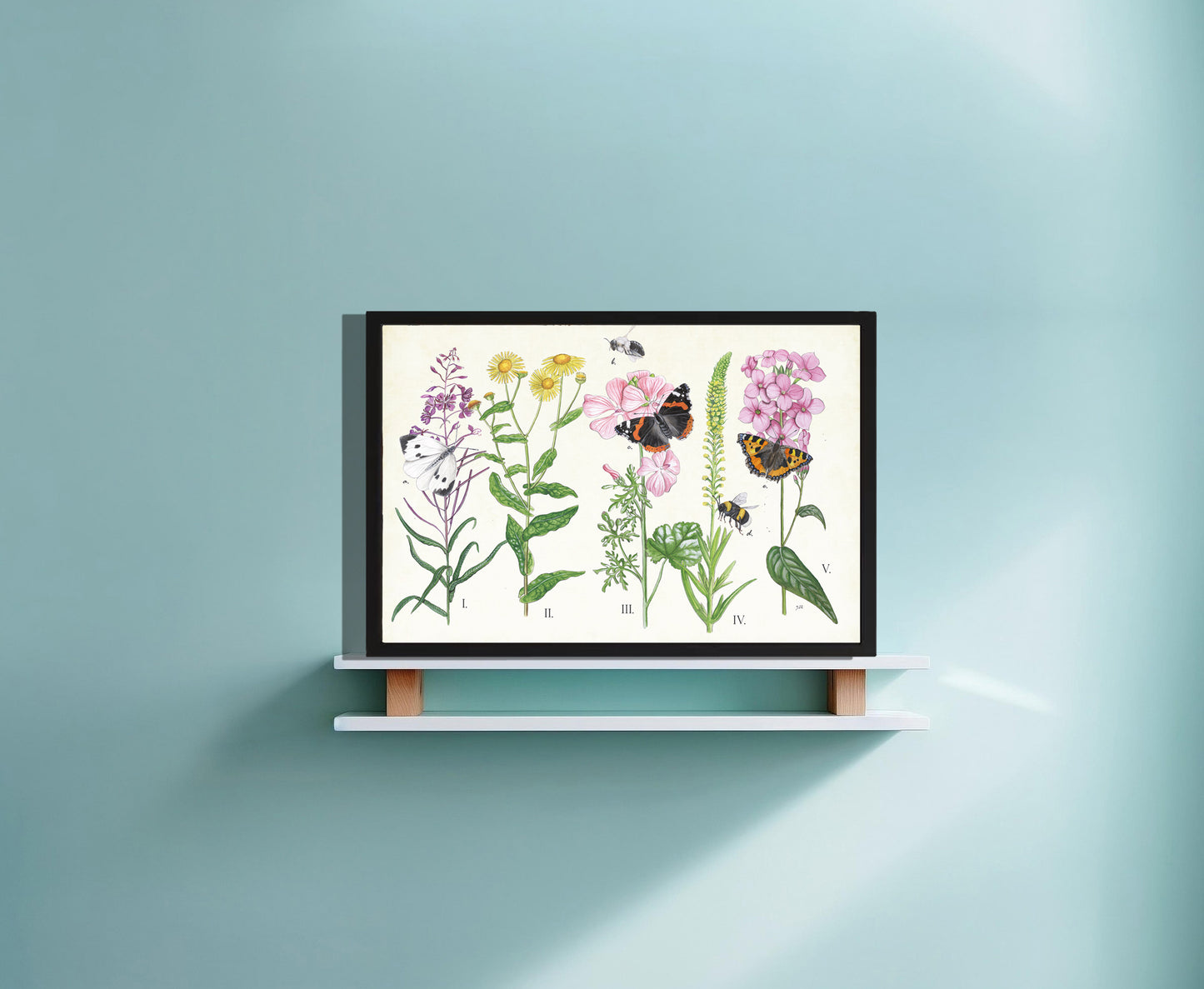 Ingelijst "Planten en haar insecten"