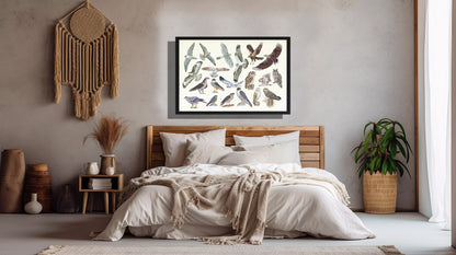 Ingelijst "Roofvogels en uilen"