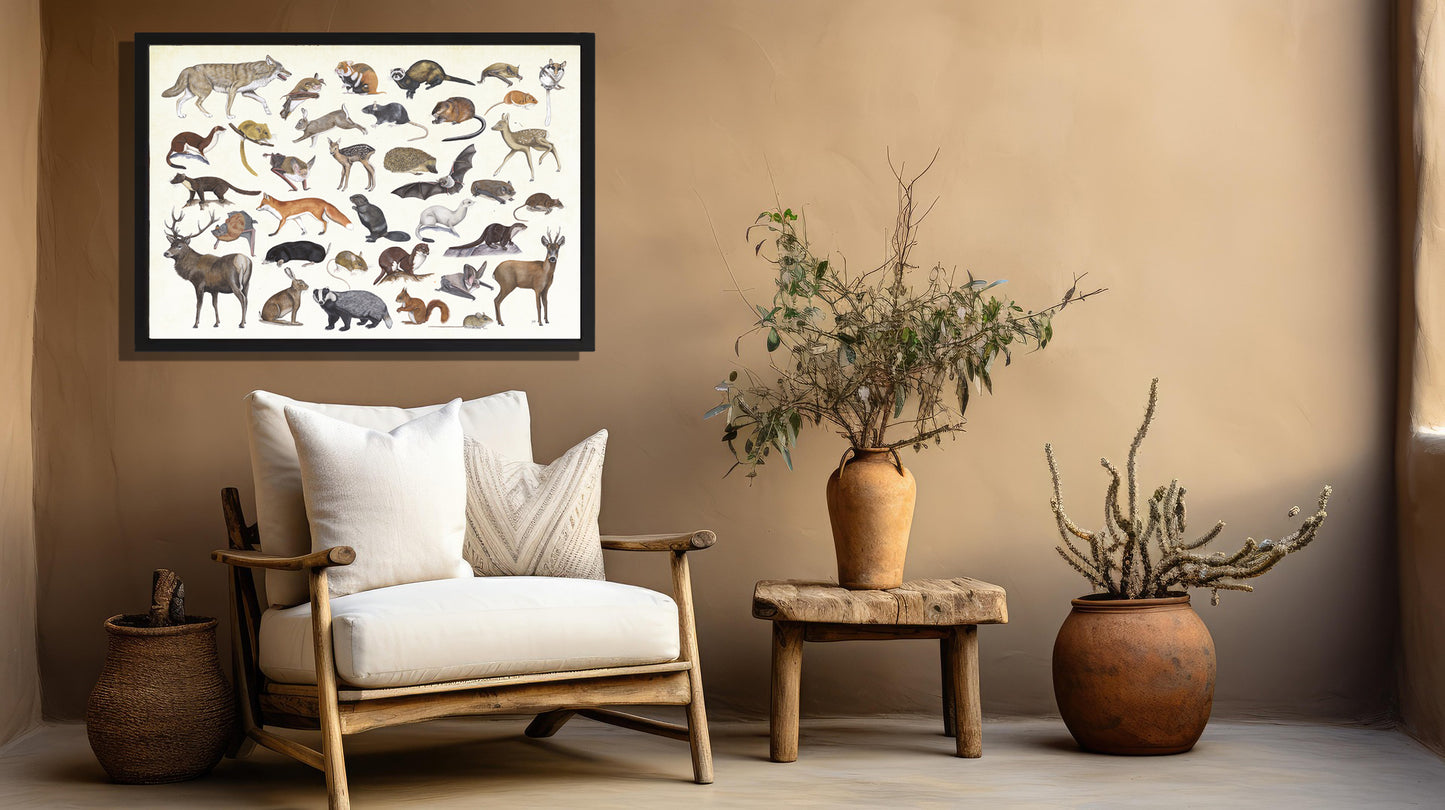 Ingelijst "Zoogdieren"
