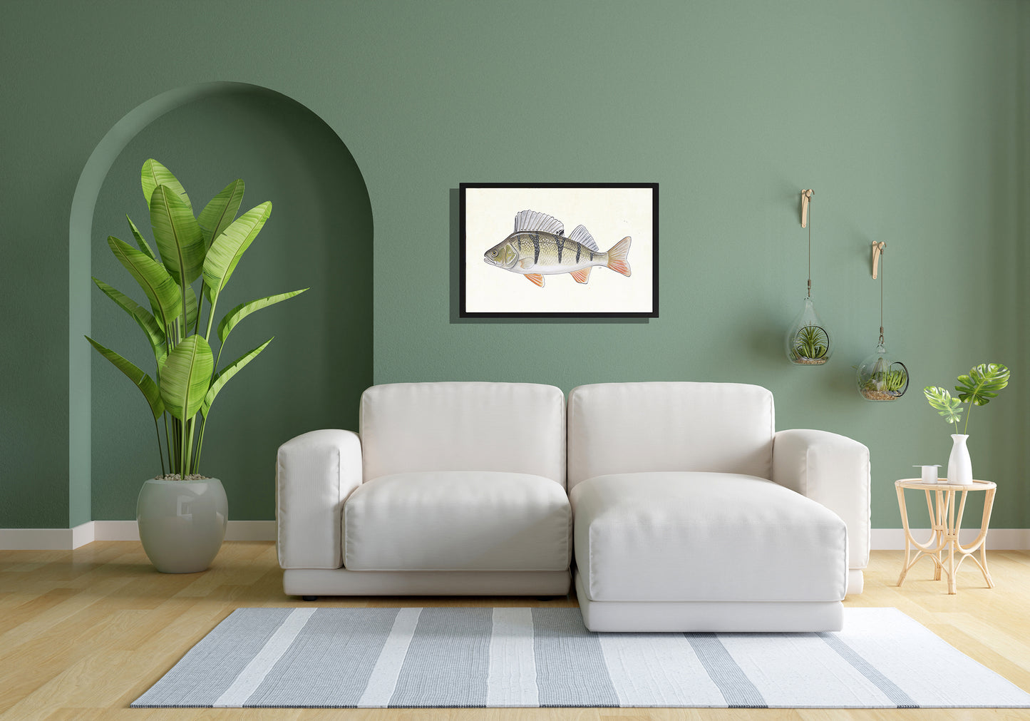 Ingelijst "Rode baars"