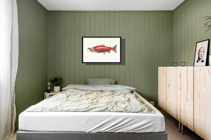 Ingelijst "Rode zalm"