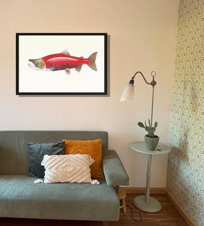 Ingelijst "Rode zalm"