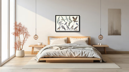 Ingelijst "Roofvogels"