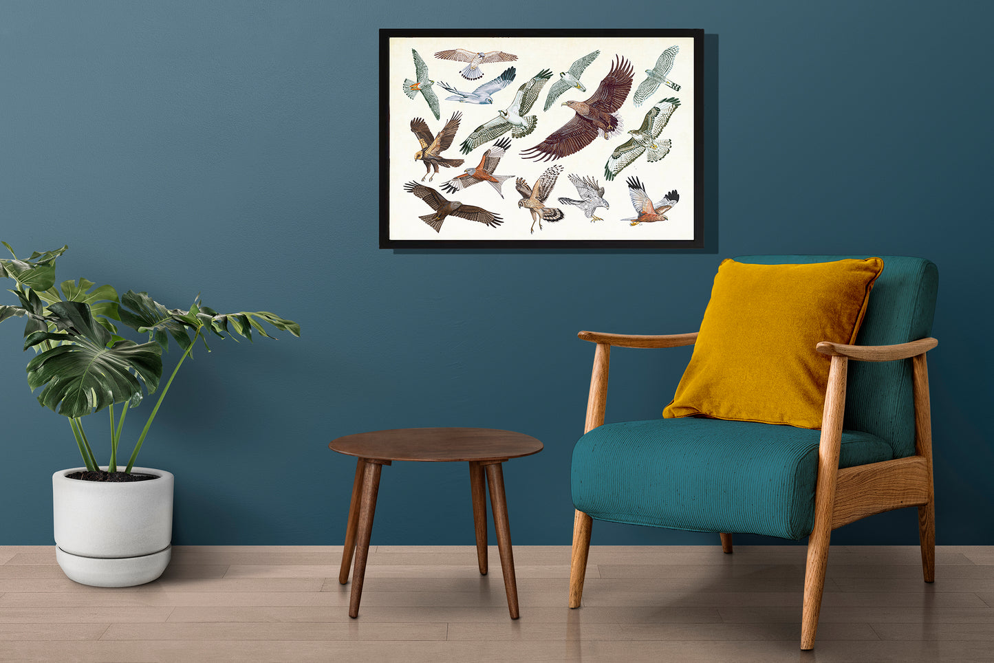 Ingelijst "Roofvogels in vlucht"