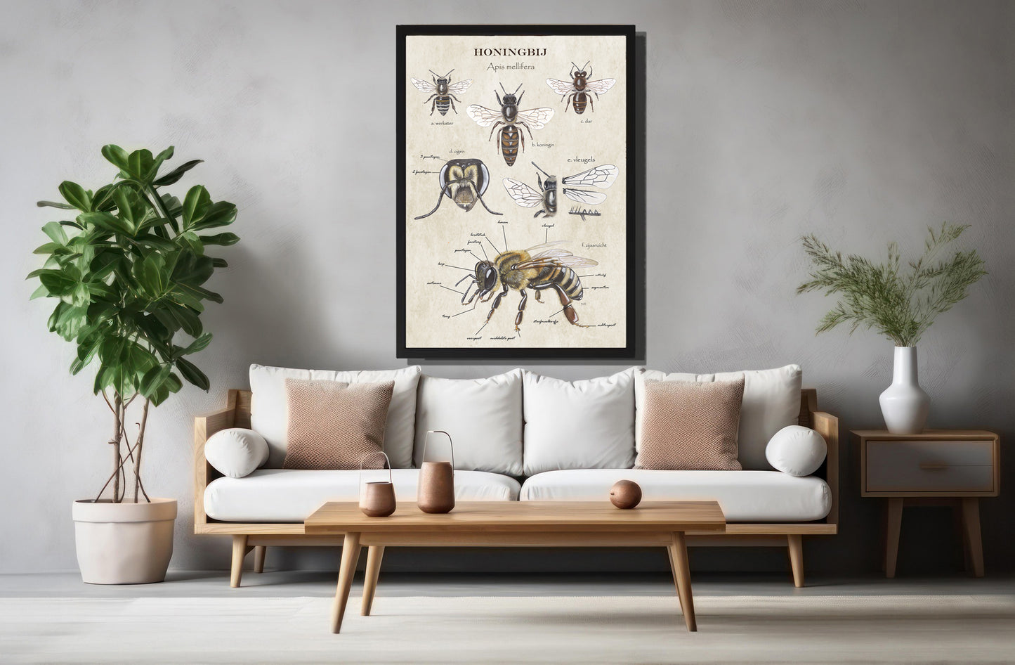 Ingelijst "Anatomie van de Honingbij"