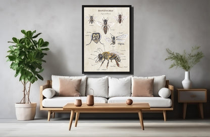 Ingelijst "Anatomie van de Honingbij"