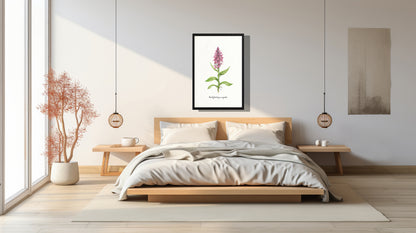 Ingelijst "Brede orchis"