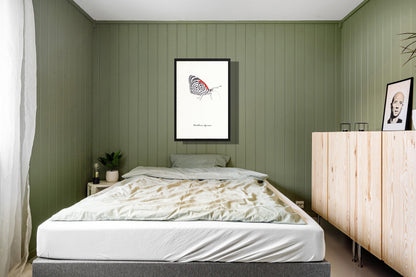 Ingelijst "Eighty-eight butterfly"