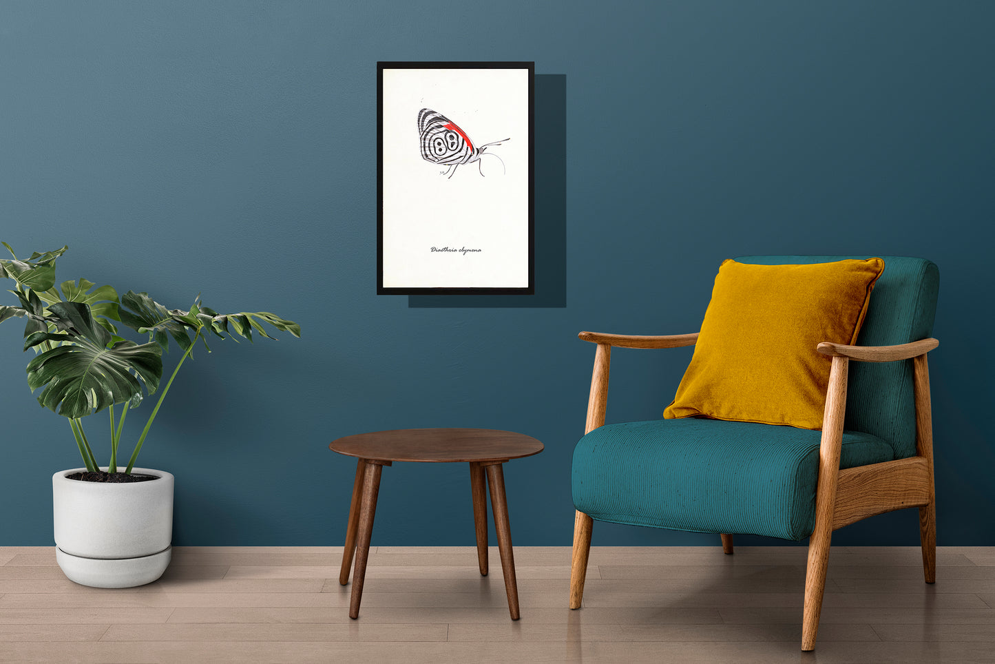 Ingelijst "Eighty-eight butterfly"