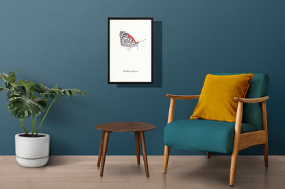Ingelijst "Eighty-eight butterfly"