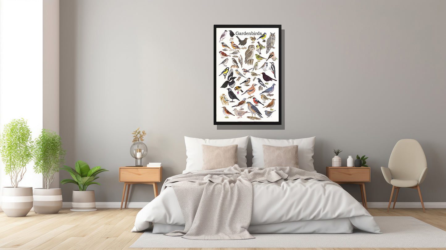 Ingelijst "Gardenbirds"