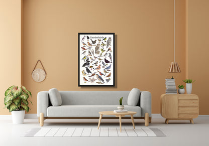 Ingelijst "Gardenbirds"