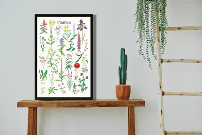 Ingelijst "Planten 2"