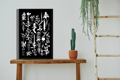 Ingelijst "Planten 2 in witzwart"