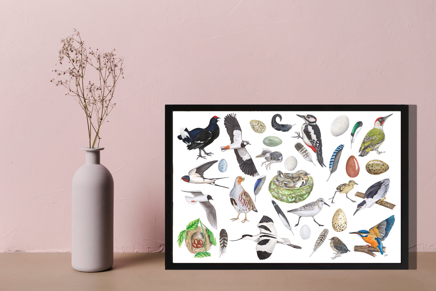Ingelijst "Vogels, het leven van"