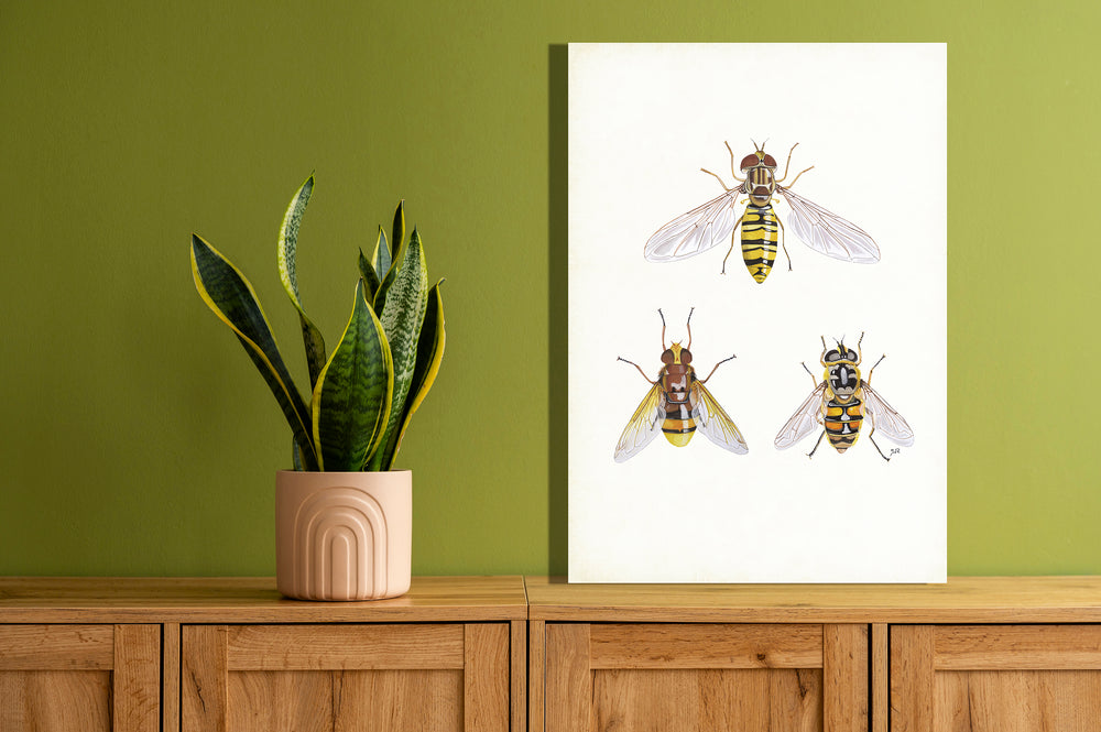 Wanddecoratie "Zweefvliegen"