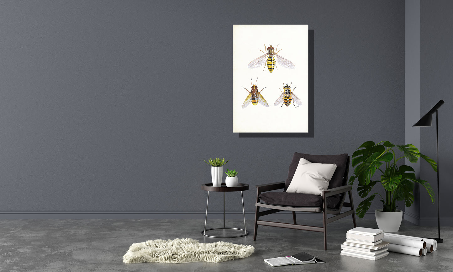 Wanddecoratie "Zweefvliegen"
