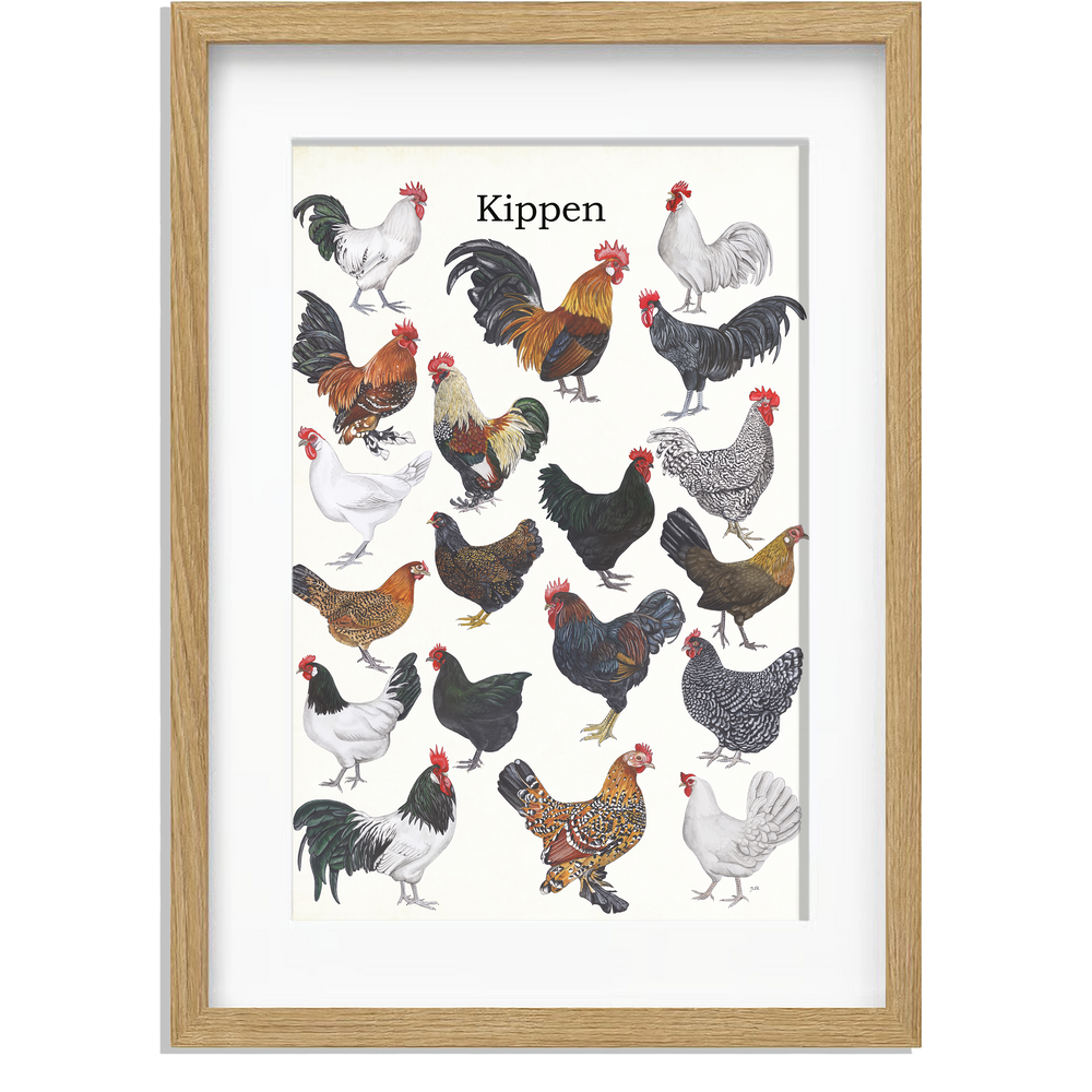 Ingelijst "Kippen"
