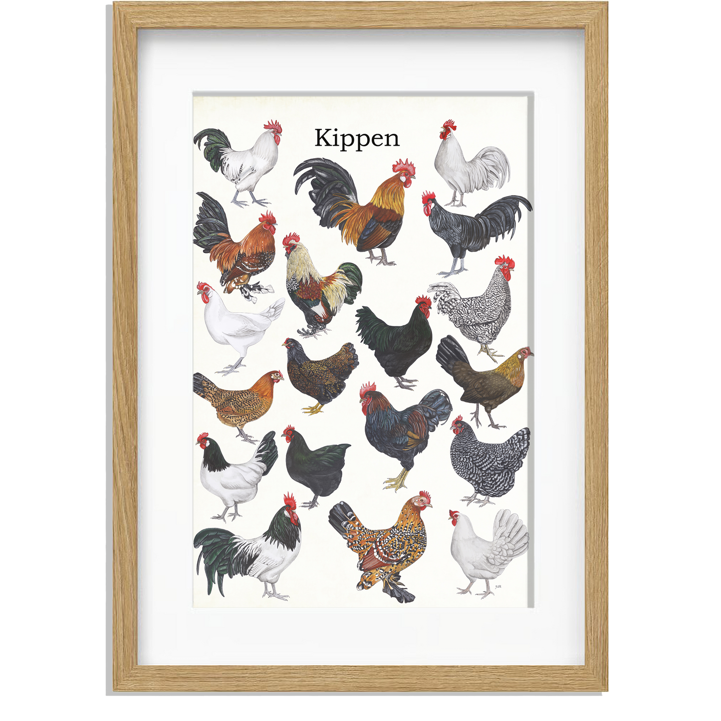 Ingelijst "Kippen"