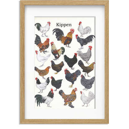 Ingelijst "Kippen"