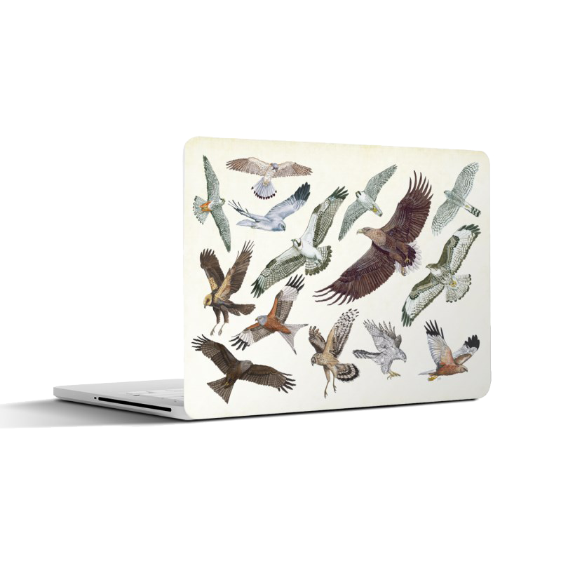 Laptopsticker "Roofvogels in vlucht"