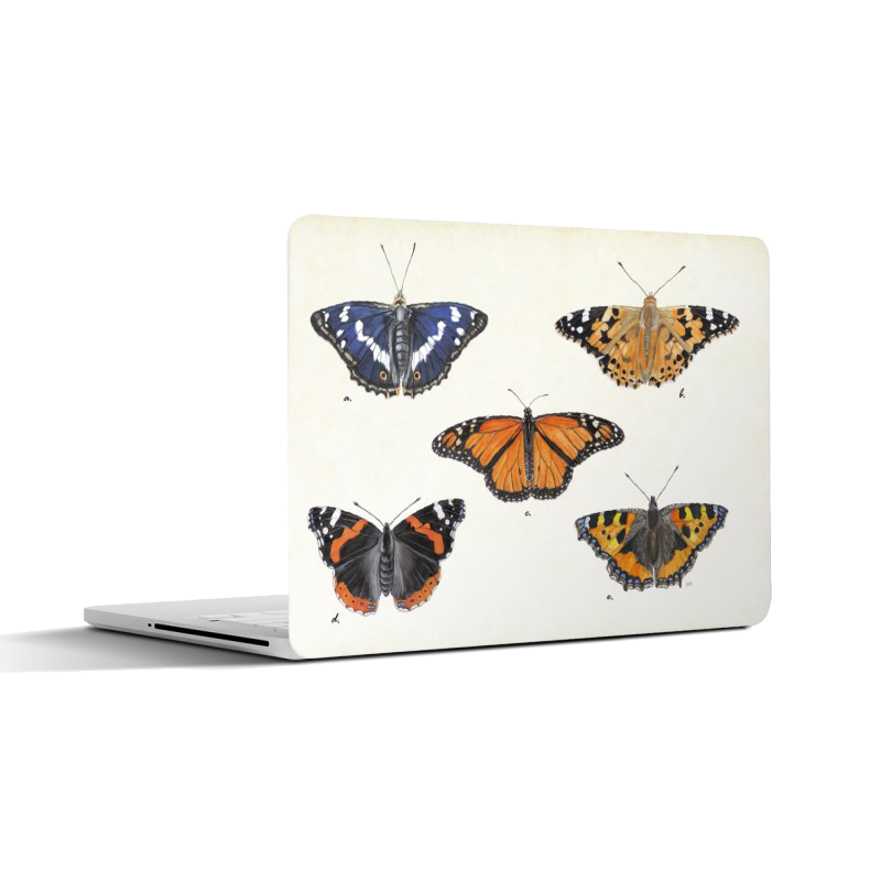 Laptopsticker "Dagvlinders op oude plaat"