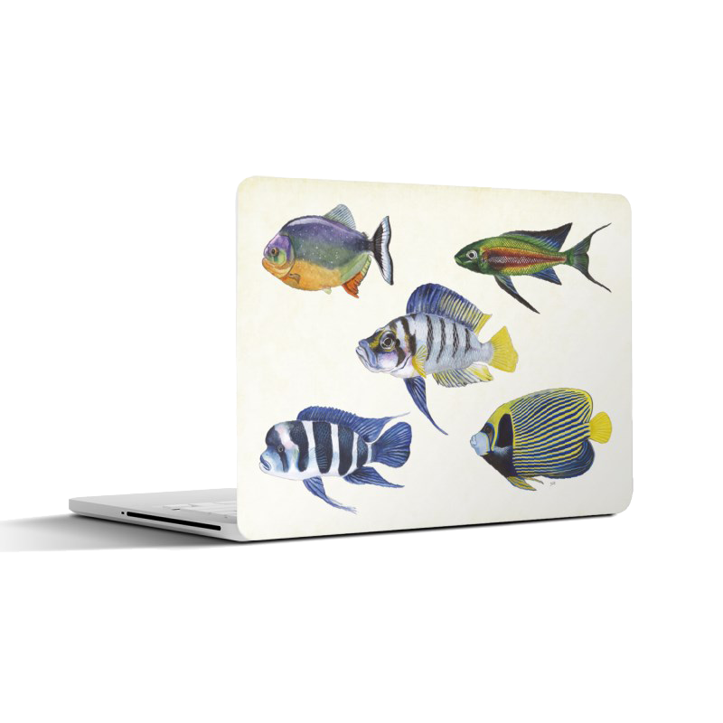 Laptopsticker "Tropische vissen"