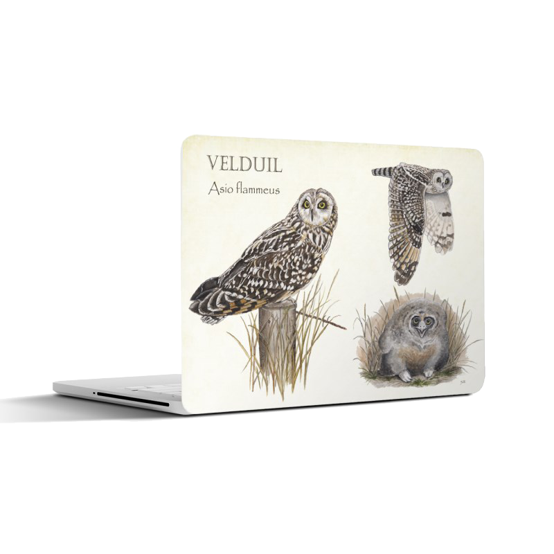 Laptopsticker "Velduil, het leven van"