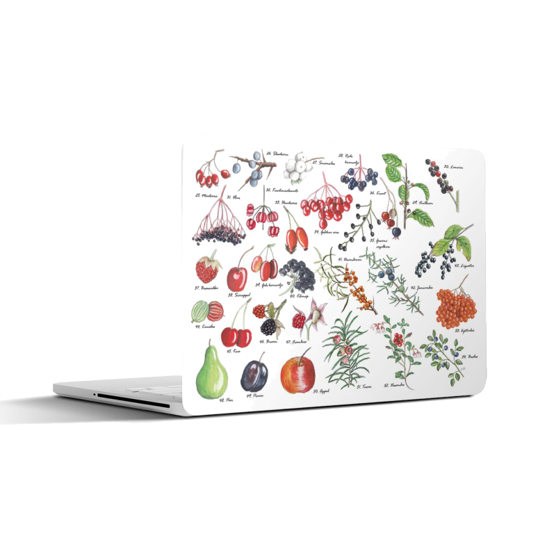 Laptopsticker "Vruchten"