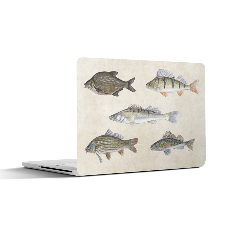 Laptopsticker "Collage zoetwatervissen"