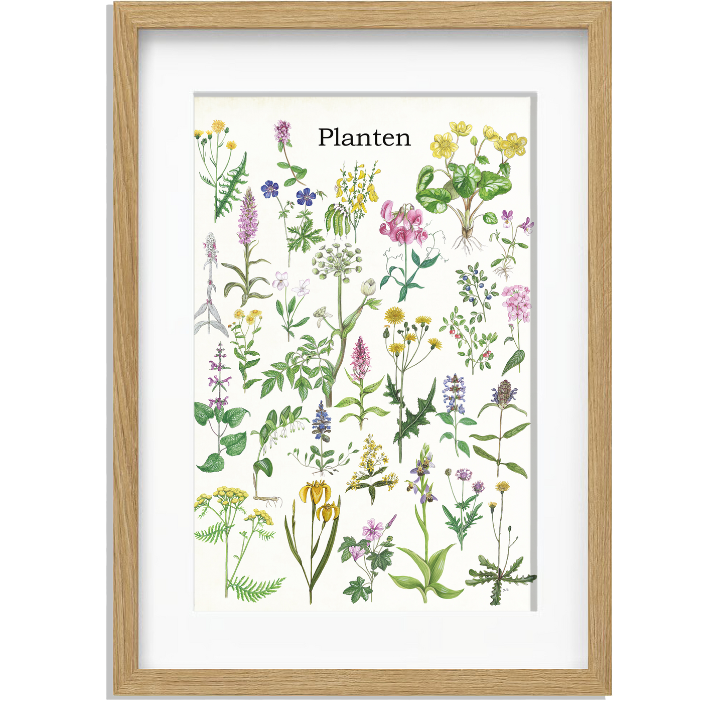 Ingelijst "Planten"