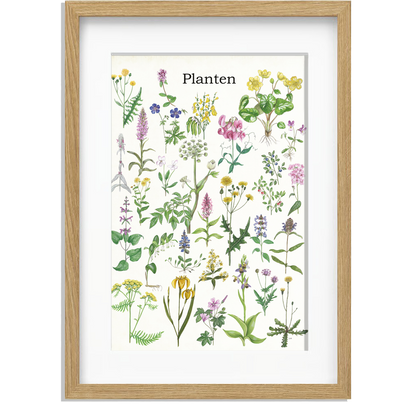 Ingelijst "Planten"