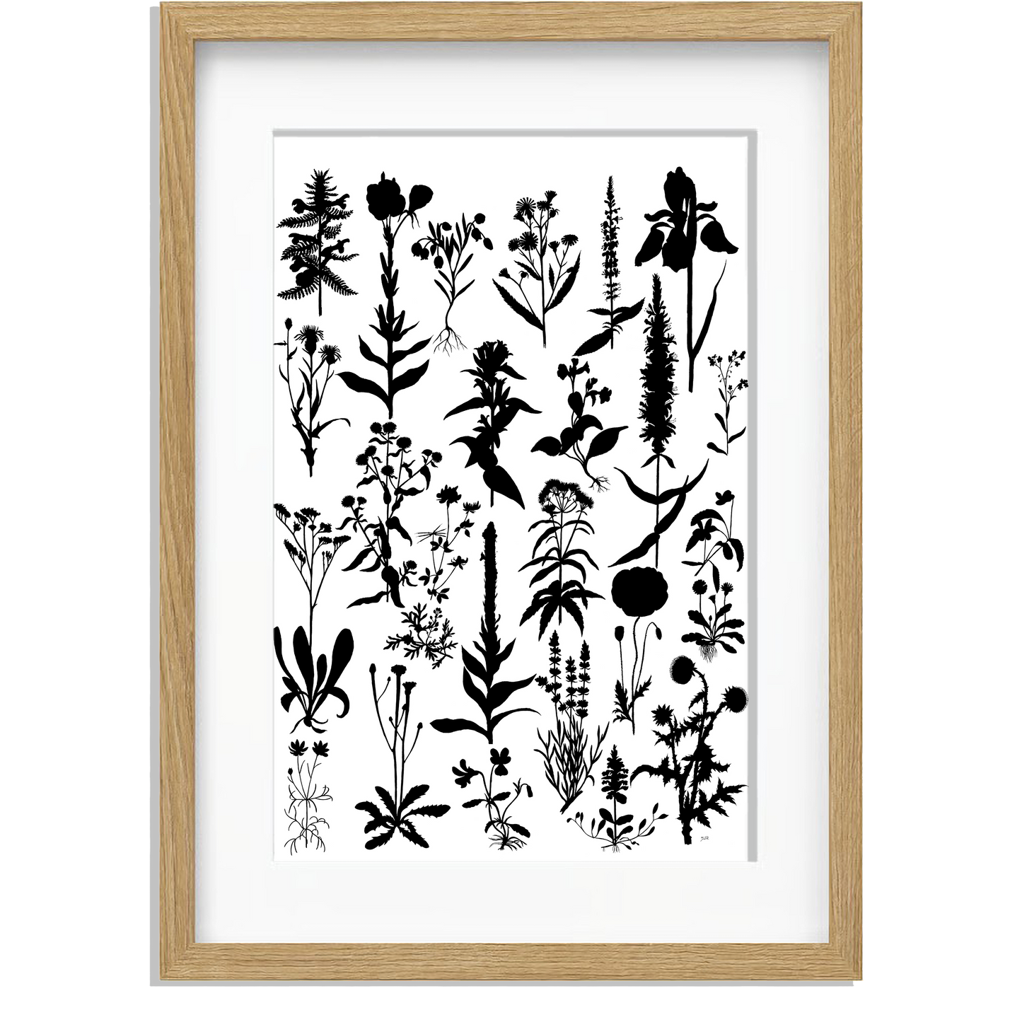Ingelijst "Planten 2 in zwartwit"