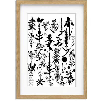 Ingelijst "Planten 2 in zwartwit"