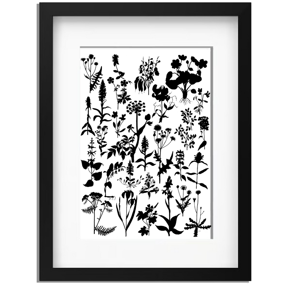 Ingelijst "Planten in zwartwit"