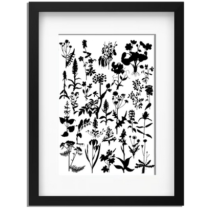Ingelijst "Planten in zwartwit"